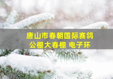 唐山市春朝国际赛鸽公棚大春棚 电子环